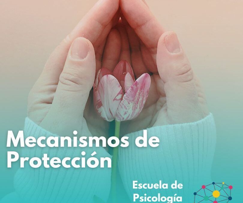 Mecanismos de Protección