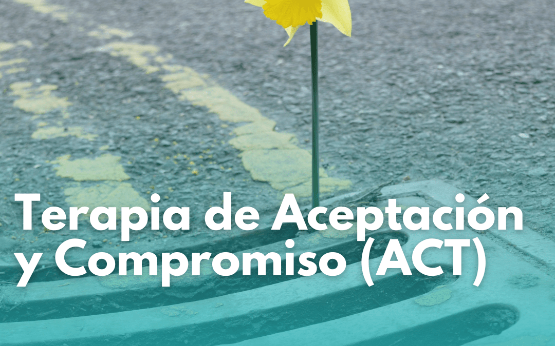 Terapia de Aceptación y Compromiso (ACT)